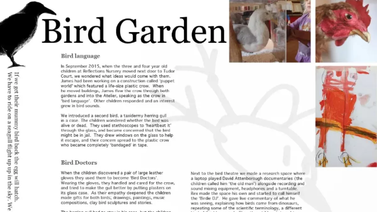 Bird garden