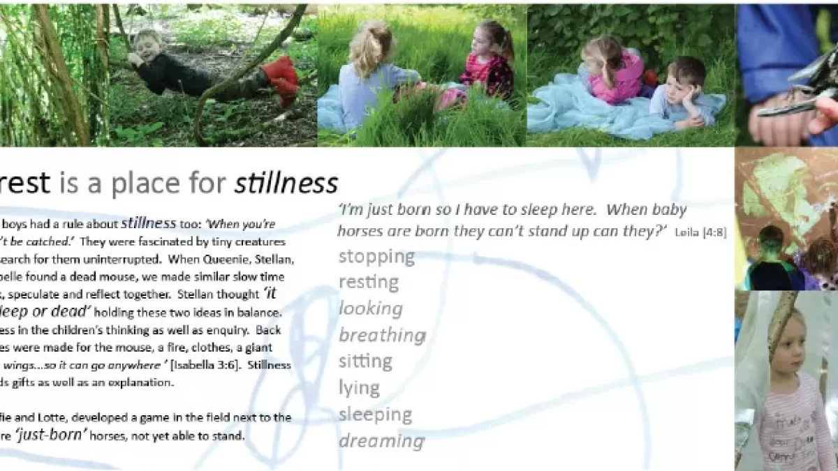 Forest for Stillness