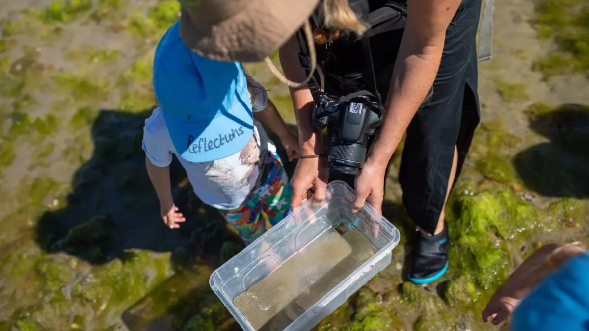 children looking at the creatures found in a sample of water from a plastic tub