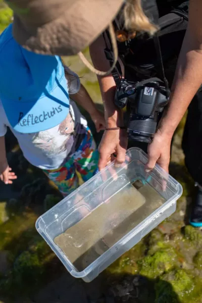 children looking at the creatures found in a sample of water from a plastic tub