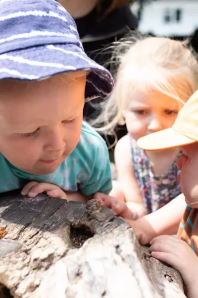 children on the tree stump