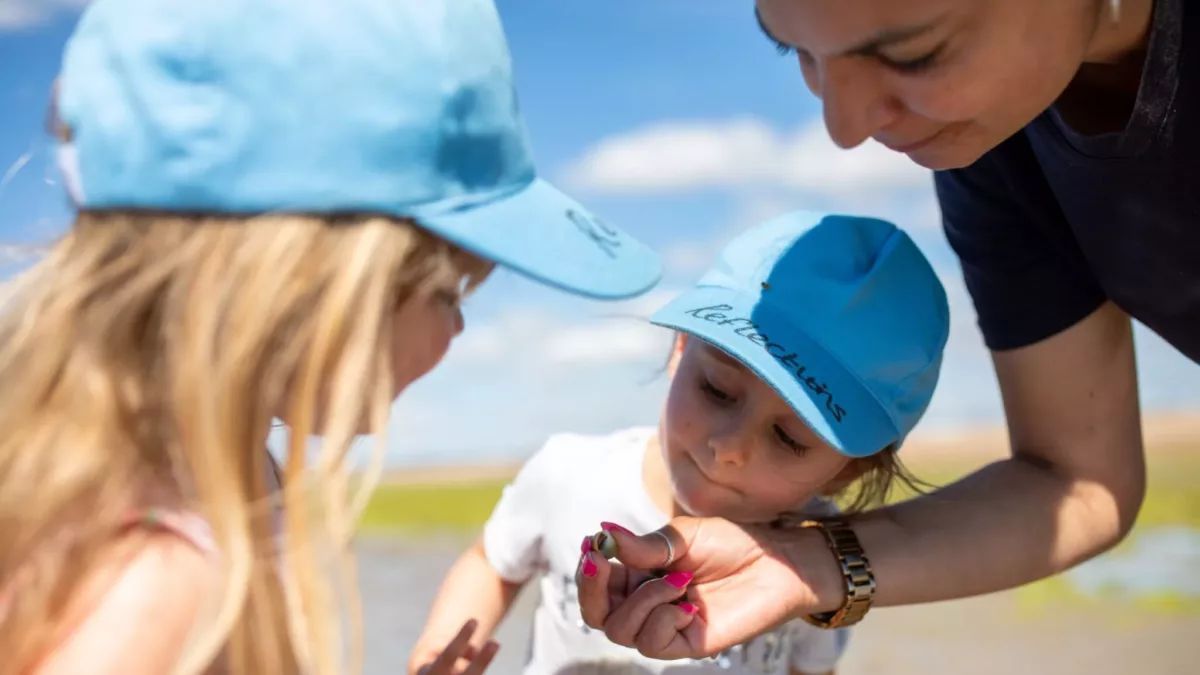 children looking at a small shell