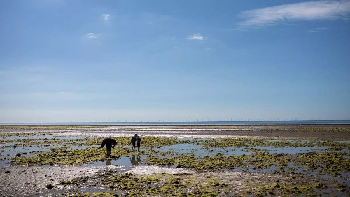 children at the beach