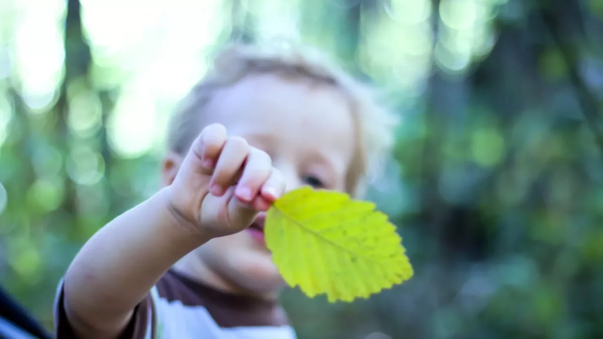 Boy holding large leaf