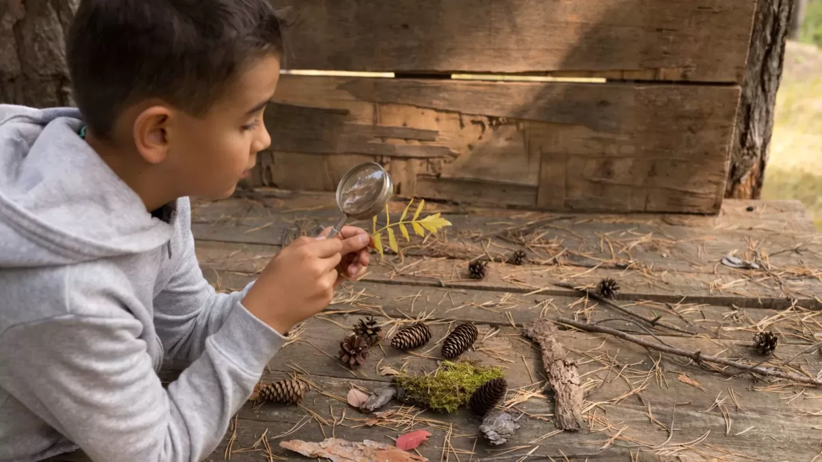 Boy using magnifying glass to look at a leaf