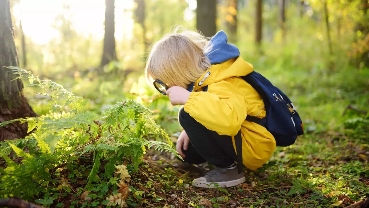 Boy in yellow coat looking at leaves with magnifying glass